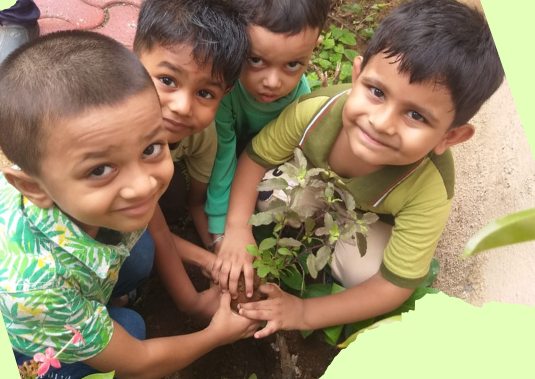 Potting Plant Activity - Pre Primary Section